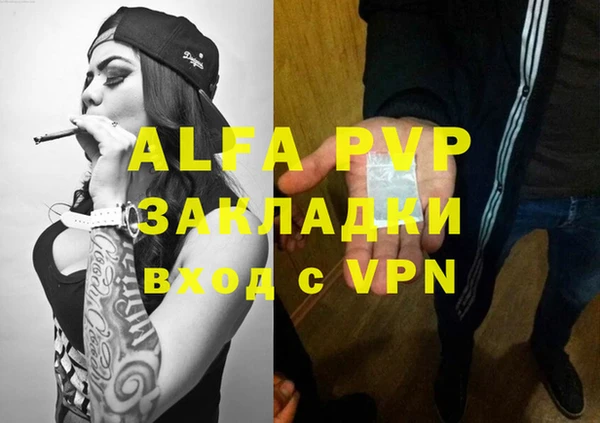 прущие грибы Заволжск